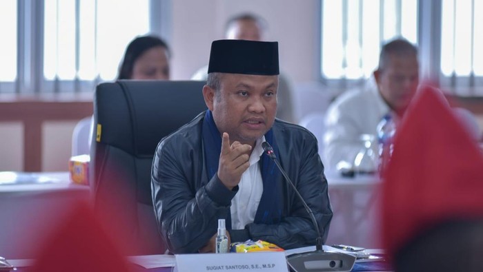 'Lalaki Langit' Dikritik, Gerindra Ingatkan Bupati Purwakarta Jaga Sikap
