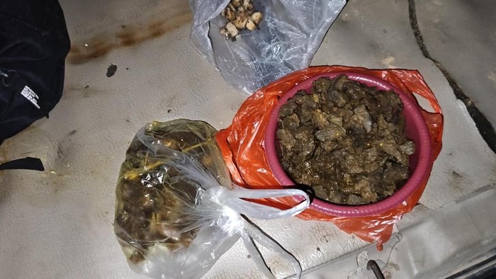 Daging Tapir yang Viral di Lampung Dimasak Para Tersangka Jadi Rica-rica