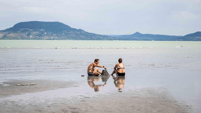 Fenomena Langka! "Pulau Monyet" Muncul Kembali di Danau Balaton Saat Air Surut