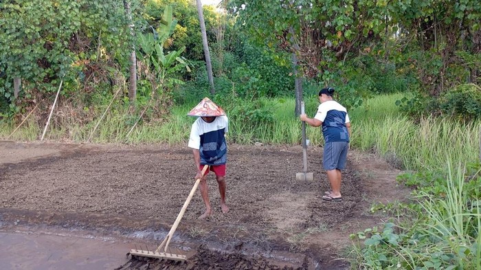 Astra Dampingi Desa Les Bali hingga Raih Juara Wisata Nasional
