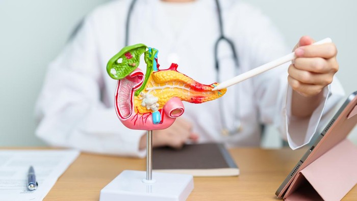 Gejala Tersembunyi Kanker Pankreas yang Diungkap Dokter Harvard, Waspadai 7 Tanda Ini
