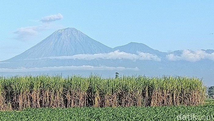 Pengumuman! Pendakian Semeru Ditutup Mulai 7 Agustus saat Hari Raya Karo