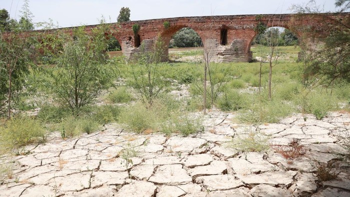 Gelombang Panas Ekstrem Landa Andalusia, Suhu Mencapai 44 Derajat Celsius