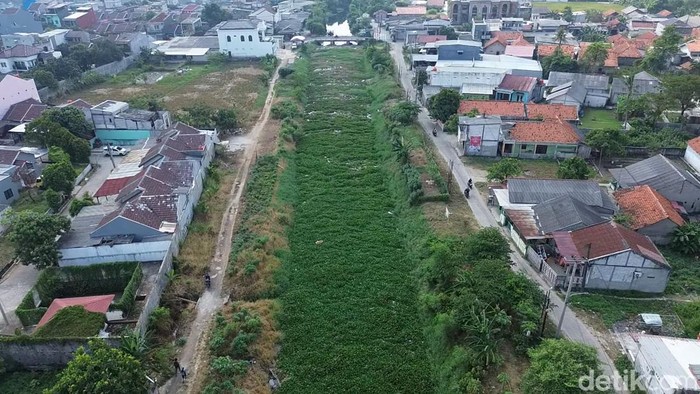 Baru 7 Bulan Dibersihkan, Kali Blencong Bekasi Kembali Dipenuhi Eceng Gondok