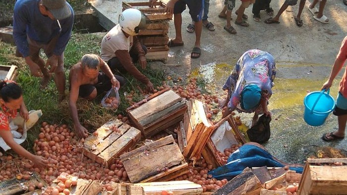 Viral Truk Angkut Telur di Purbalingga Dijarah Warga Usai Kecelakaan