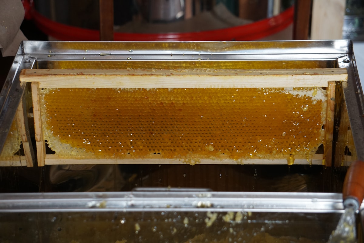 Membedah Metode Pengolahan Kopi: Natural, Washed, dan Honey Process yang Menentukan Cita Rasa