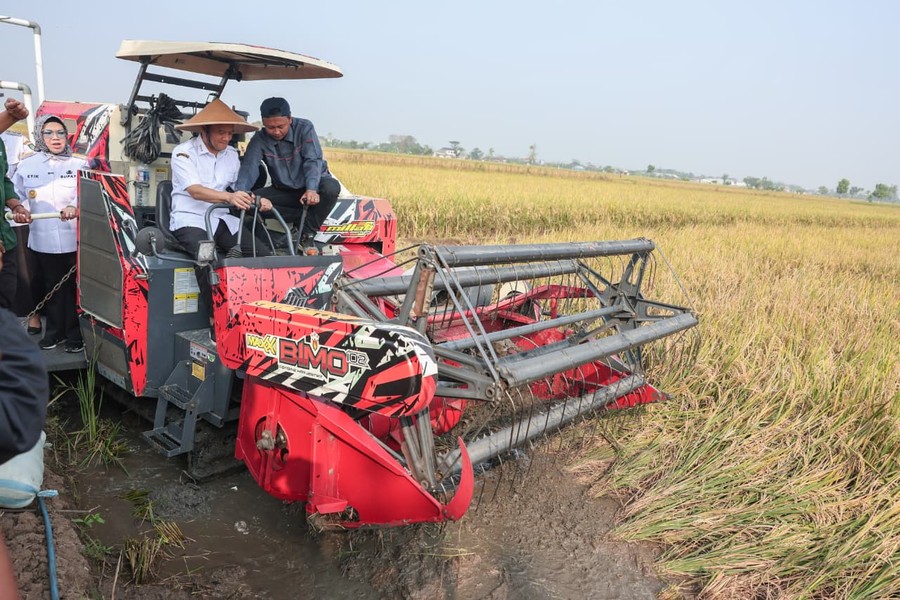 Produksi Padi Jateng Diproyeksi Capai 6,69 Juta Ton per Juli 2026