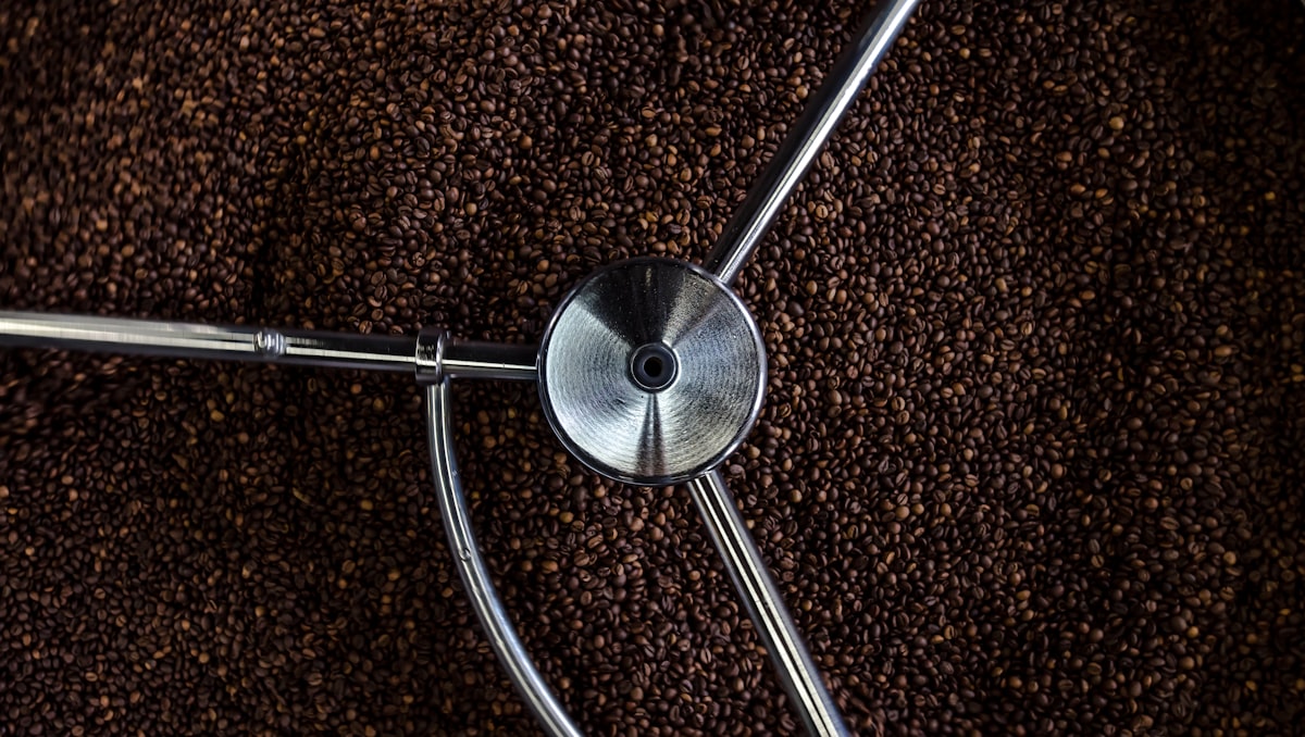 Mengupas Flavor Wheel Kopi: Peta Lengkap untuk Memahami Rasa dan Aroma Kopi dari Dasar hingga Ahli