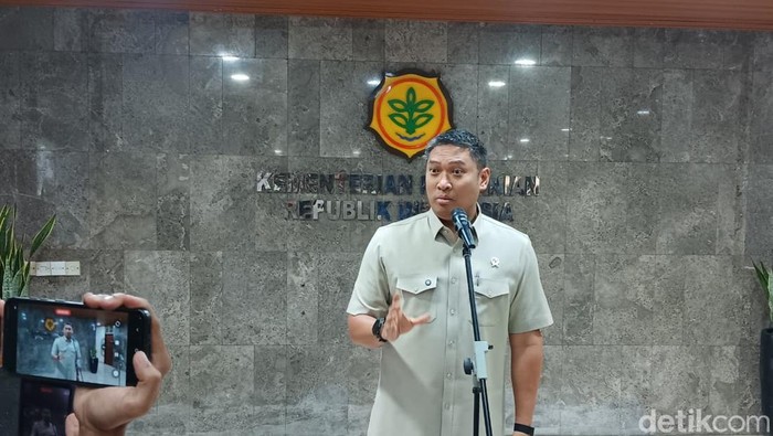 Kejar Swasembada Bawang Putih, Kementan Siapkan Anggaran Hampir Rp 400 M