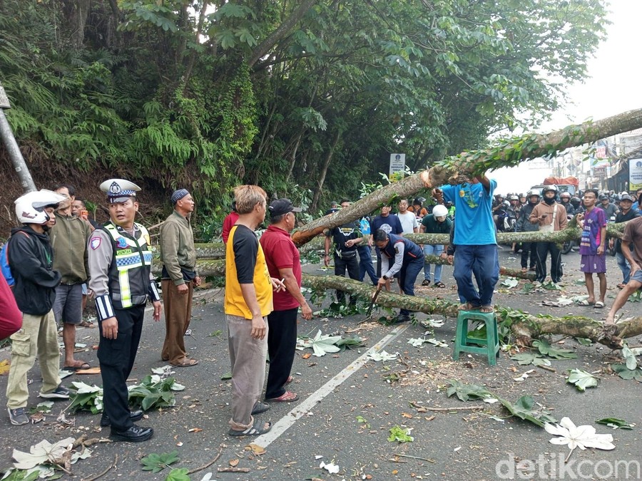 BOGOR, Lurusin.com – Sebuah pohon tumbang di Jalan Raya Tegal Waru, Kecamatan Ciampea, Kabupaten Bogor, Jawa Barat, pa