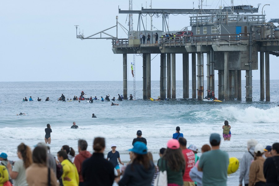 Aksi Nyali dan Kepedulian: Ratusan Lifeguard Muda Terjun dari Dermaga Scripps San Diego