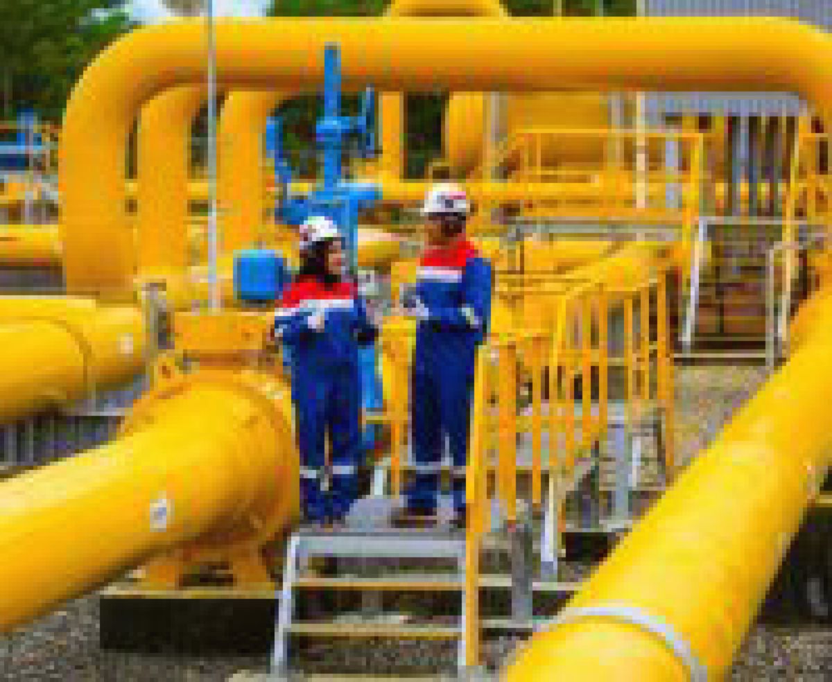 PGN — Memperkuat Infrastruktur Gas Bumi Nasional di HUT ke-61