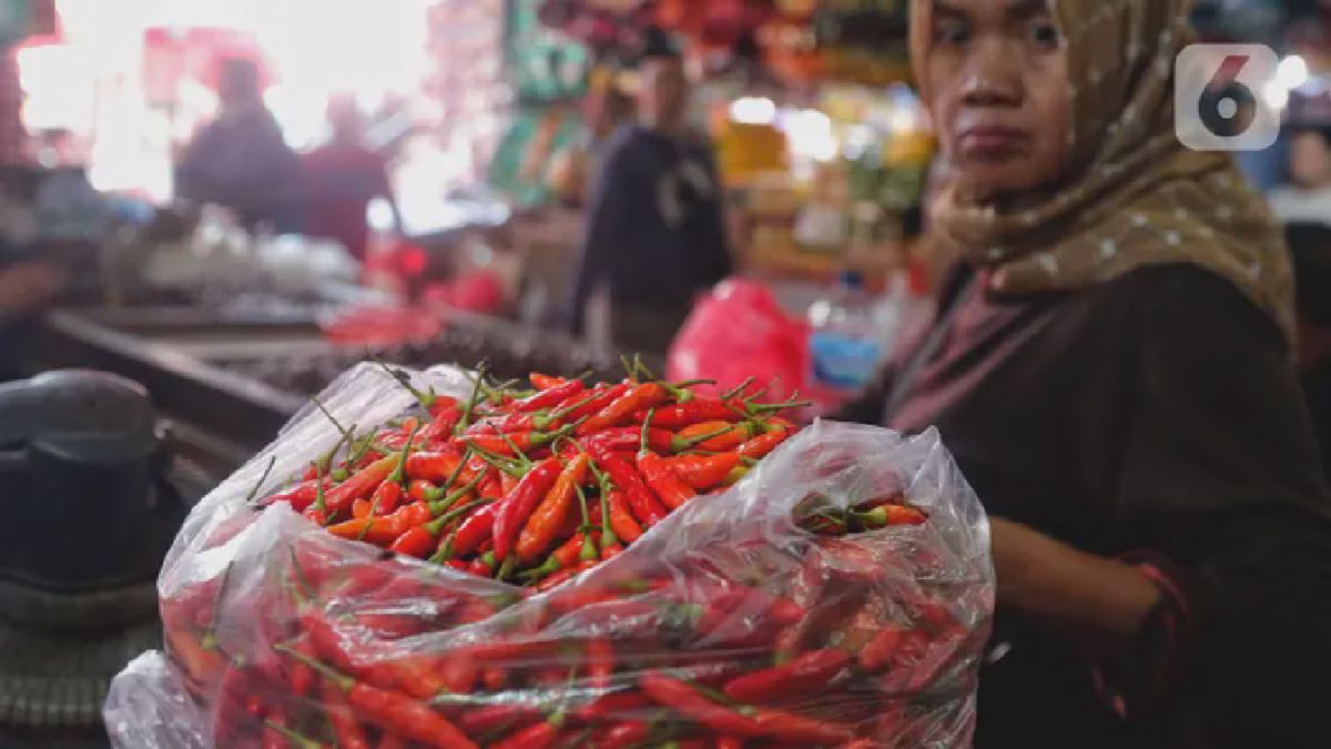 Jakarta — Harga Cabai Rawit di Ibu Kota Tembus Rp100 Ribu