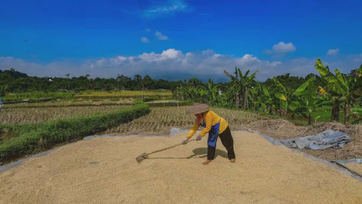JAKARTA, LURUSIN.COM — Badan Urusan Logistik (Bulog) mencatatkan pencapaian signifikan pada awal