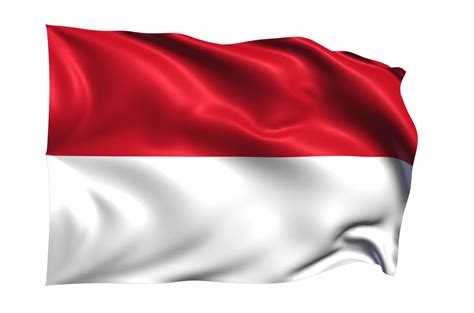 Profil Samingun: Pejabat Eselon I di Balik Administrasi Pajak