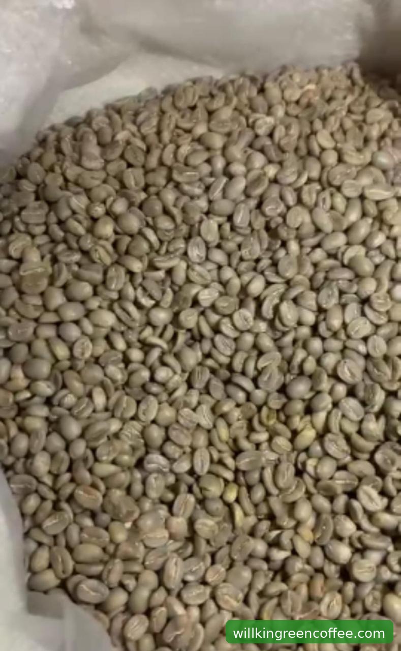 FAKTA: Willkin Green Coffee dan Klaim Kualitas yang Bisa Diverifikasi