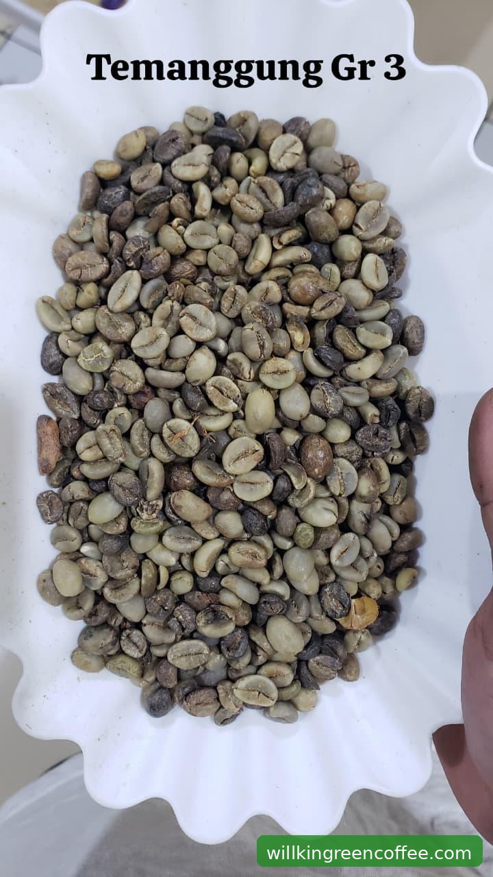 Cek Fakta: Mitos dan Realita Tentang Green Coffee Indonesia