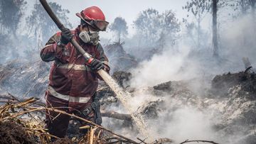 FOTO: H-13 Karhutla di Kampar Riau, Api Belum Padam