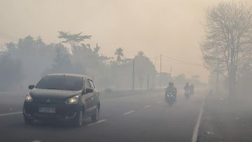 BMKG: Asap Karhutla Kalimantan Terbawa Angin Sampai Negara Tetangga